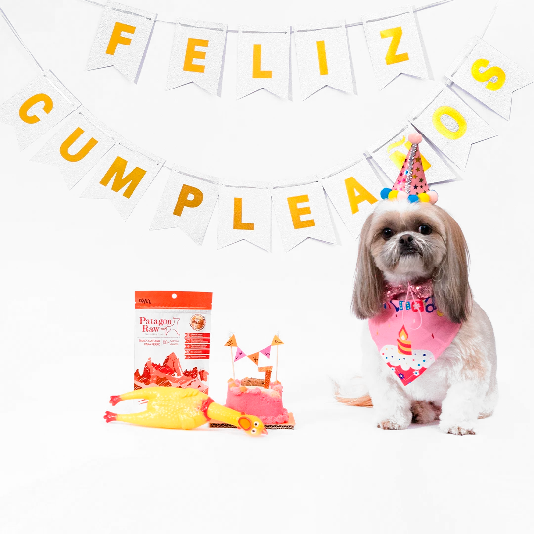 imagenes de feliz cumpleaños con perros