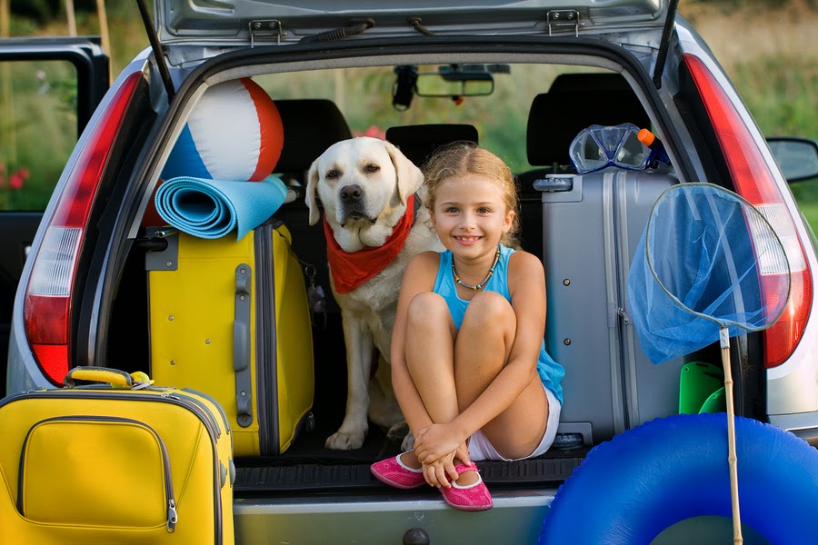 Viajar en auto con tu perro 10 consejos de seguridad – Parte 2