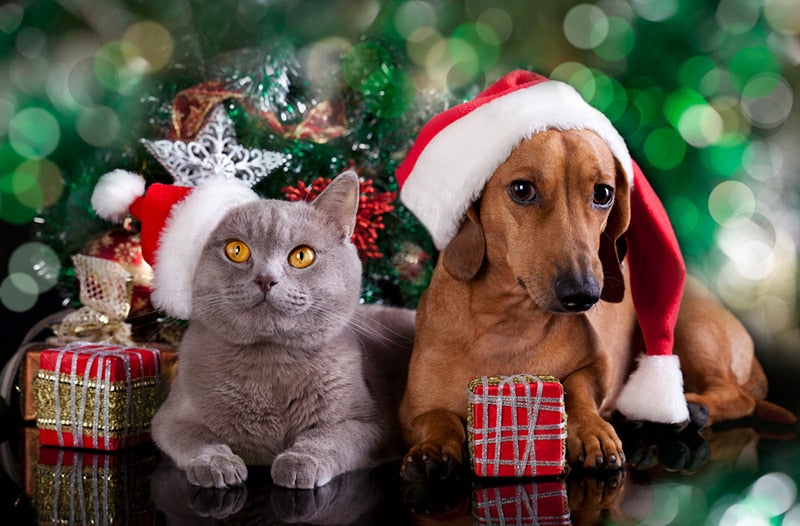 Consejos para mantener a sus mascotas seguras durante la Navidad